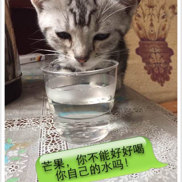 房产证拍照给别人有风险吗
